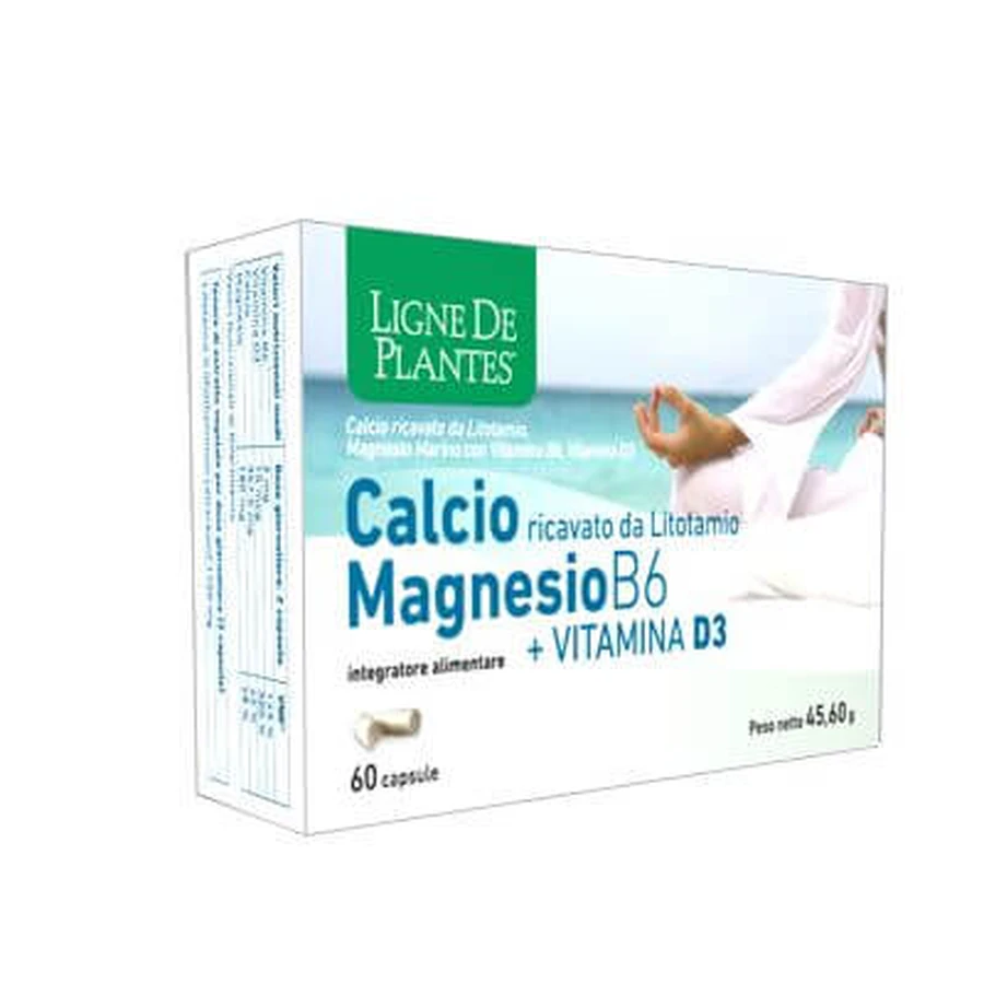 Calcium + magnesium b6 + vitamine d3 60 capsules