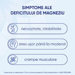 Magne B6 Premium, 100 mg/10 mg, 40 film-coated tablets, Sanofi