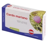 Milk thistle dry extract 60 tablets