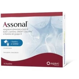 Assonal 16 zakjes