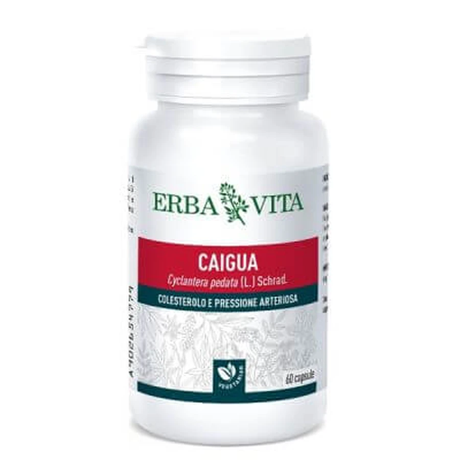Caigua 60 Kapseln 400 mg