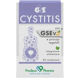 Gse blaasontsteking 60 tabletten