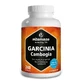 Vitamaze Garcinia Cambogia + Choline Capsules 240 Capsules