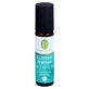 Concentration parfum roll-on bio 10 ml