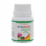 Normobil, 20 comprimate, Elidor