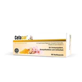 Cefacur cápsulas duras 60 St