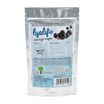 Lyolife gefriergetrocknete schwarze Johannisbeeren, 30 g, Lifesense