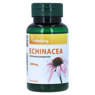 Equinácea 1000 mg cápsulas 90 Cápsulas