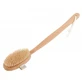 Shower brush, Shenzhen