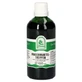 Frauenmantel Tropfen 100 ml