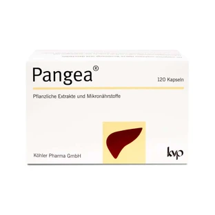 Pangea Kapseln 120 St