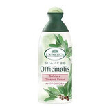 Sampon antimatreata cu salvie si ienupar rosu L'angelica Officinalis, 250 ml, Coswell