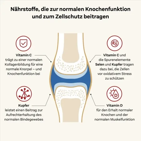 Doppelherz system Kollagen 11.000 Plus Gesundheit + Beweglichkeit 30X25 ml