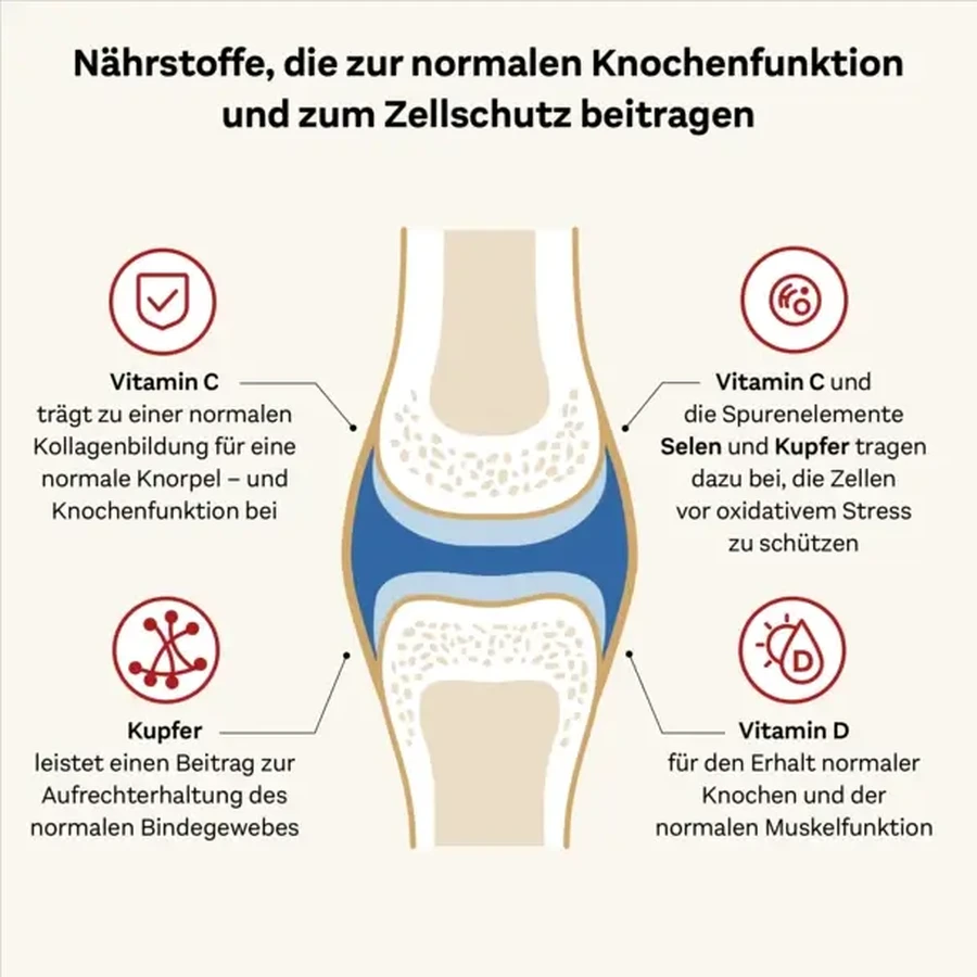 Doppelherz system Kollagen 11.000 Plus Gesundheit + Beweglichkeit 30X25 ml