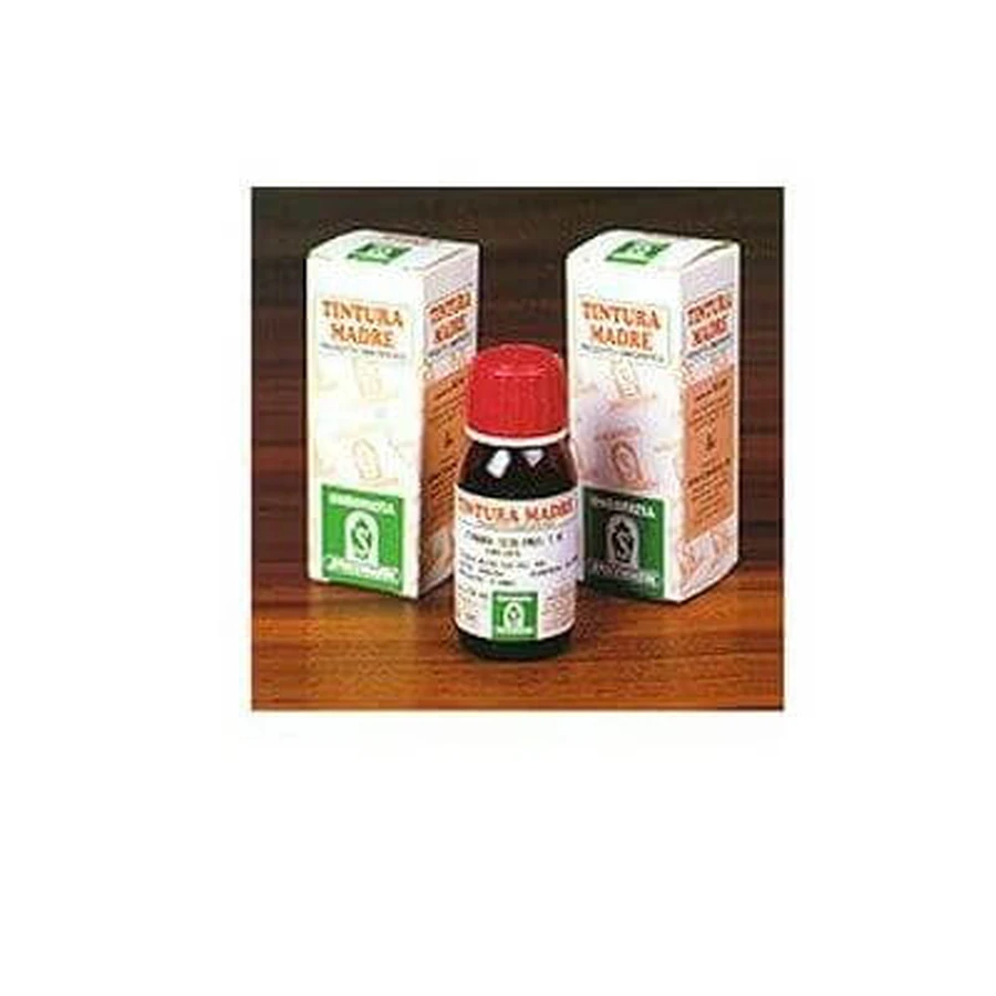 Teufelskralle 35 tm50ml