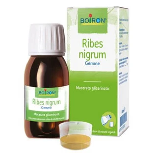 Macerado glicérico de Ribes nigrum 60 ml int
