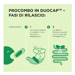 Procombo 10 gélules