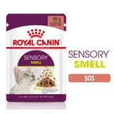 ROYAL CANIN Sensory Smell wet cat food for cats smell stimulation (in sauce), 85g