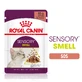 ROYAL CANIN Sensory Smell Nassfutter für Katzen Geruchsstimulation (in Sauce), 85g
