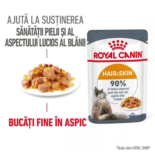 ROYAL CANIN Hair&Skin Care Adult Feuchtfutter für Katzen Haut & Fell (in Aspik), 85g