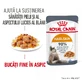 ROYAL CANIN Hair&Skin Care Adult Feuchtfutter für Katzen Haut & Fell (in Aspik), 85g