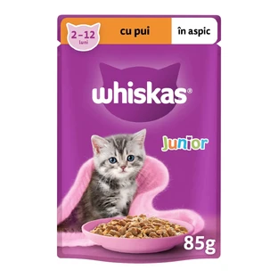 WHISKAS Junior, Chicken, sachet wet food for junior cats, (in aspic), 85g