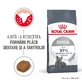 ROYAL CANIN Dental Care Adult, hrană uscată pisici, reducerea formării tartrului, 1.5kg