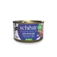 Schesir
