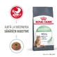 ROYAL CANIN Digestive Care Adult, droog kattenvoer, spijsverteringscomfort, 400g