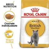 ROYAL CANIN British Shorthair Adult, dry cat food, 2kg