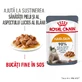ROYAL CANIN Hair & Skin Care Adult, Nassfutter für Katzen, Haut & Fell, (in Sauce), 85g