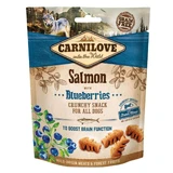 CARNILOVE Crunchy Snack, Lachs mit Cranberries, funktionelle getreidefreie Belohnung für Hunde, neurologische Unterstützung, 200g