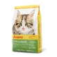 JOSERA Kitten Grainfree, Salmon, grain-free dry food for junior cats, 2kg