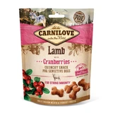 CARNILOVE Crunchy Snack, Honig mit Cranberries, funktionelle getreidefreie Hundeleckerlis, Immunität, 200g