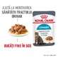 ROYAL CANIN Urinary Care Adult, Nassfutter für Katzen, Gesundheit der Harnwege, (in Sauce), 85g