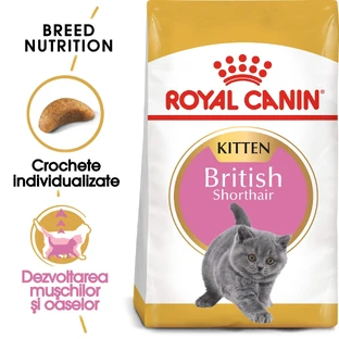 ROYAL CANIN Brits Korthaar Kitten, droogvoer voor jonge katten, 400g