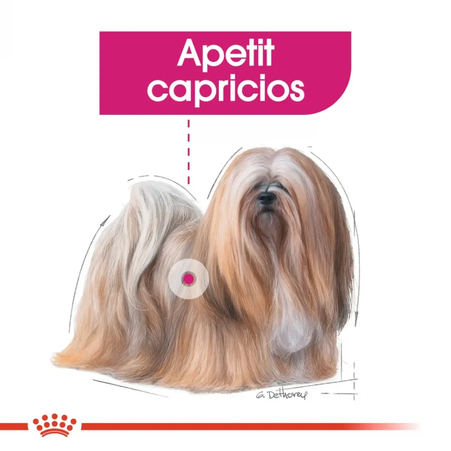 ROYAL CANIN ROYAL CANIN Exigent Adult Nassfutter für Hunde mit schlechtem Appetit (Pastete), 85g