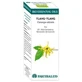Equisalud Bio Etherische oliën Ylang-Ylang Ac. Etherisch 10Ml