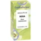 Esential Aroms Bulgarian Rose Absolute 2ml