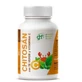 Ghf Chitosan+Grüner Tee 100 Kapseln