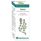 Equisalud Bio Ätherische Öle Thymian Ätherisches Öl 10ml