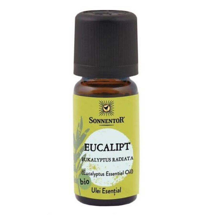 Ulei esential de eucalipt, 10 ml, Sonnentor