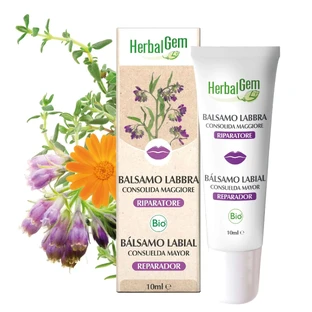 Herbalgem Baume à lèvres à la consoude, 10ml