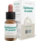 Forza Vitale Quinta Essenz Lavendel (Lavendel) 10Ml