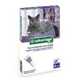 Advantage Cat 80 mg Cat +4Kg 4Pip