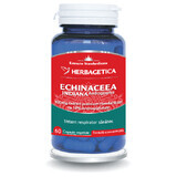 Echinaceea Indiana, 60 capsule, Herbagetica