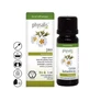 Physalis Rozenroos etherische olie 5Ml. Bio