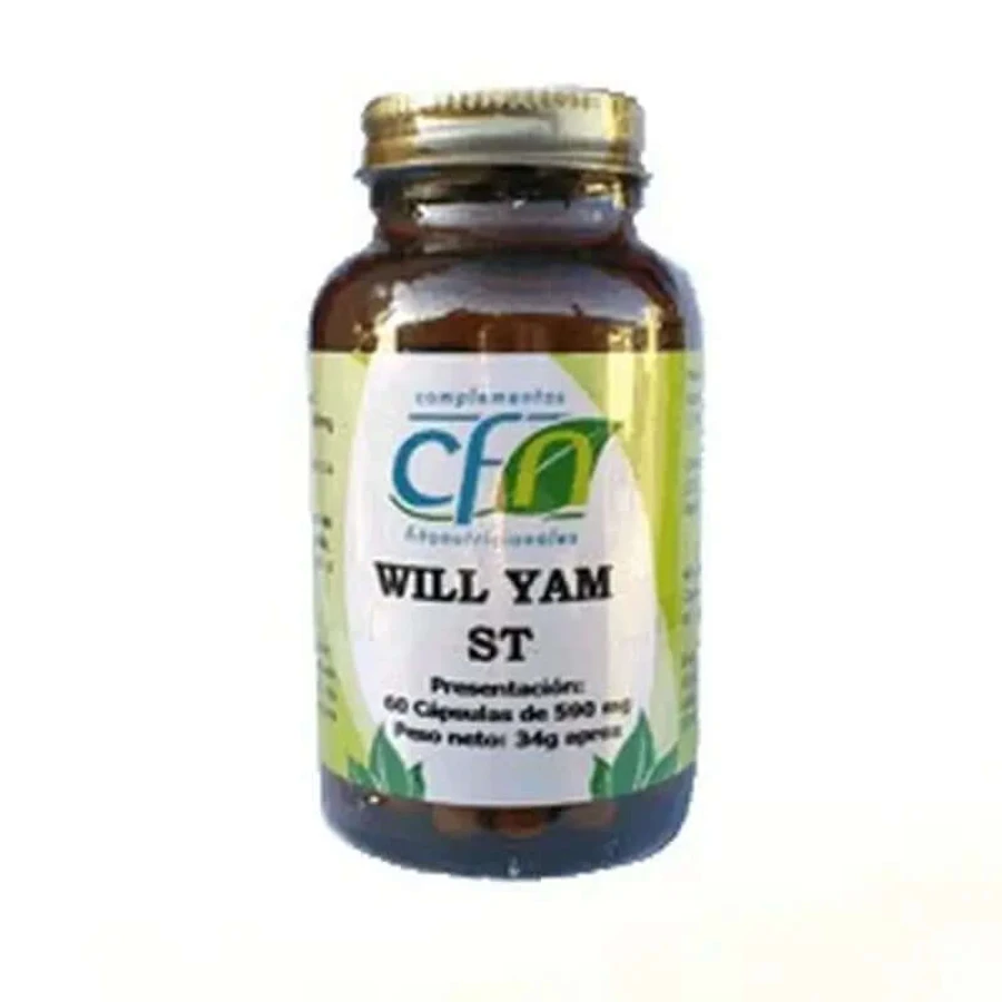 Cfn Will Yam St 590 Mg , 60 gélules