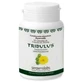 Serpens Tribulus 90 Kapseln