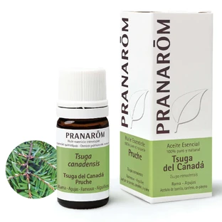 Pranarom Essential Oil Tsuga of Canada, 5ml
